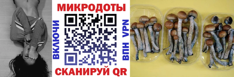Галлюциногенные грибы мицелий  Купить  Перевоз 