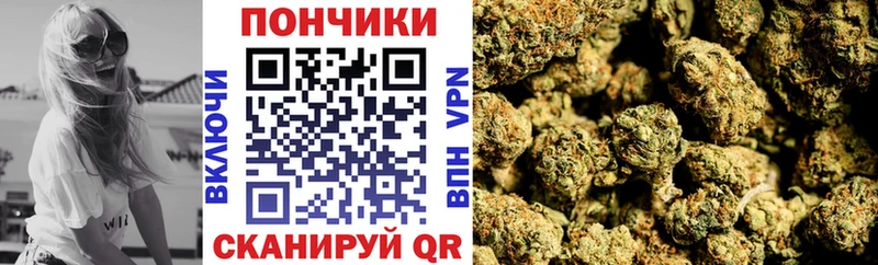 Купить где  Перевоз  Бошки марихуана индика 